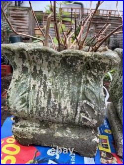 Pair Of English Garden Stone Planters With Classic scalloped rim, acanthus detai