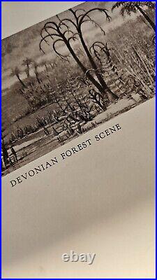 Rare Antique Before The Dawn Of History Charles Knight Hardcover Book Vintage