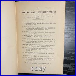 Rare Antique Vintage Decorative Science Book 1883 Fungi Appleton Co ISS