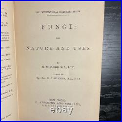 Rare Antique Vintage Decorative Science Book 1883 Fungi Appleton Co ISS