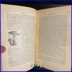 Rare Antique Vintage Decorative Science Book 1883 Fungi Appleton Co ISS