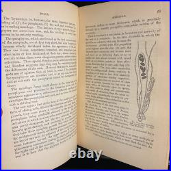 Rare Antique Vintage Decorative Science Book 1883 Fungi Appleton Co ISS