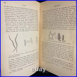 Rare Antique Vintage Decorative Science Book 1883 Fungi Appleton Co ISS