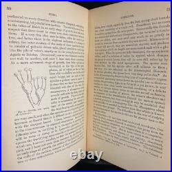 Rare Antique Vintage Decorative Science Book 1883 Fungi Appleton Co ISS