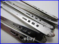 Rare Vintage Bird/Duck Enamel English Sterling Silver Tea Coffee Spoons Case Set