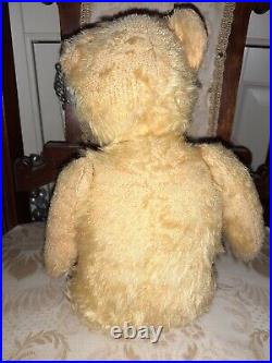 Sammy 13 Adorable Antique Vintage Traditional Jointed Teddy Bear english