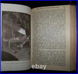 TALES OF MYSTERY & IMAGINATION/EDGAR ALLAN POE Vintage/Antique Fine Binding