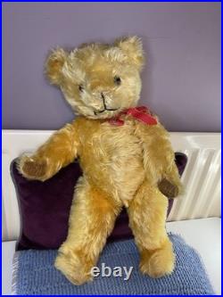 Teddy Bear Old Pedigree Vintage 19 Inch (Rare, English, Antique, Mohair)