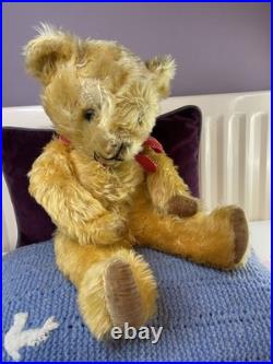 Teddy Bear Old Pedigree Vintage 19 Inch (Rare, English, Antique, Mohair)