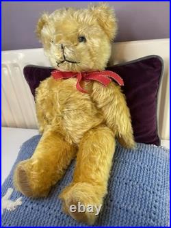 Teddy Bear Old Pedigree Vintage 19 Inch (Rare, English, Antique, Mohair)