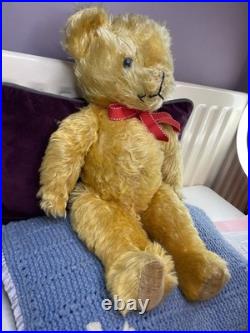 Teddy Bear Old Pedigree Vintage 19 Inch (Rare, English, Antique, Mohair)