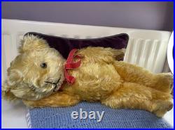 Teddy Bear Old Pedigree Vintage 19 Inch (Rare, English, Antique, Mohair)