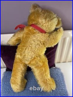 Teddy Bear Old Pedigree Vintage 19 Inch (Rare, English, Antique, Mohair)