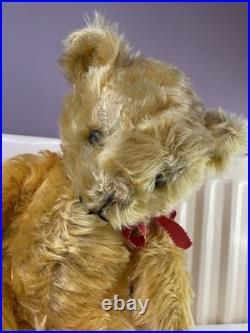 Teddy Bear Old Pedigree Vintage 19 Inch (Rare, English, Antique, Mohair)