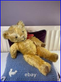 Teddy Bear Old Pedigree Vintage 19 Inch (Rare, English, Antique, Mohair)