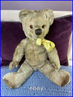Teddy Bear Old Vintage 14 Inch (Rare German, English, American, Antique, Mohair)