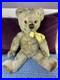 Teddy Bear Old Vintage 14 Inch (Rare German, English, American, Antique, Mohair)