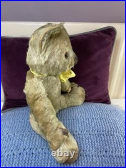 Teddy Bear Old Vintage 14 Inch (Rare German, English, American, Antique, Mohair)
