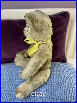 Teddy Bear Old Vintage 14 Inch (Rare German, English, American, Antique, Mohair)