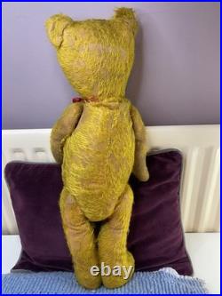 Teddy Bear Old Vintage 20 Inch (Rare German, English, American, Antique, Mohair)