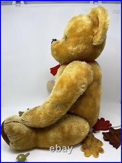 Teddy Edward 26 c1950's Farnell Old Antique English Vintage Mohair Bear