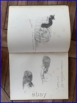 VINTAGE ANTIQUE BOOKS Dogs Rough and Smooth by Lucy Dawson 1937