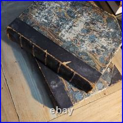 Vintage Antique 1859 Shakespeare Complete Works 2 volumes. Comedy and tragedy
