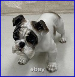 Vintage Antique 1930-40's Rosenthal English Bulldog Porcelain Germany 6 MINT