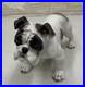 Vintage Antique 1930-40's Rosenthal English Bulldog Porcelain Germany 6 MINT