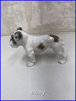 Vintage Antique 1930-40's Rosenthal English Bulldog Porcelain Germany 6 MINT