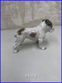 Vintage Antique 1930-40's Rosenthal English Bulldog Porcelain Germany 6 MINT