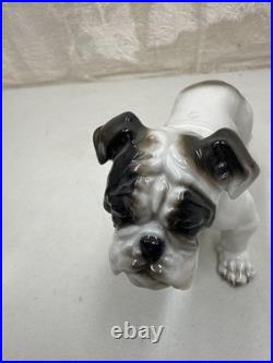 Vintage Antique 1930-40's Rosenthal English Bulldog Porcelain Germany 6 MINT