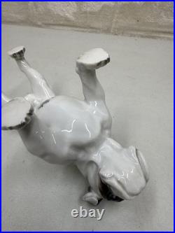 Vintage Antique 1930-40's Rosenthal English Bulldog Porcelain Germany 6 MINT