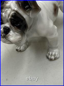 Vintage Antique 1930-40's Rosenthal English Bulldog Porcelain Germany 6 MINT
