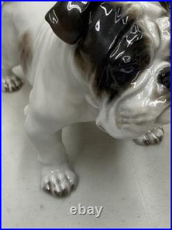 Vintage Antique 1930-40's Rosenthal English Bulldog Porcelain Germany 6 MINT