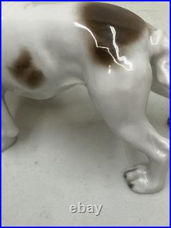 Vintage Antique 1930-40's Rosenthal English Bulldog Porcelain Germany 6 MINT