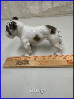 Vintage Antique 1930-40's Rosenthal English Bulldog Porcelain Germany 6 MINT