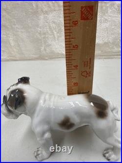 Vintage Antique 1930-40's Rosenthal English Bulldog Porcelain Germany 6 MINT