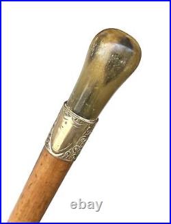 Vintage Antique 19C English Horn Gold Mount Wood Swagger Knob Walking Stick Cane