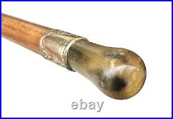 Vintage Antique 19C English Horn Gold Mount Wood Swagger Knob Walking Stick Cane