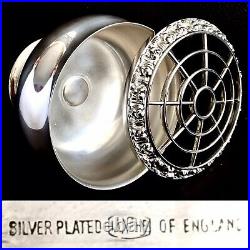 Vintage/Antique English Ian Heath Ltd IANTHE Silver Plated Rose Bowl (4/10cm)