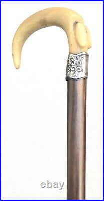 Vintage Antique English Sterling Silver Buffalo Horn Handle Walking Stick Cane