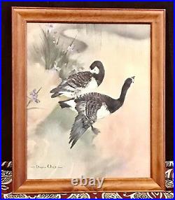 Vintage Antique Wildlife Vernon Ward English Listed Artist 1905-85 Print Framed