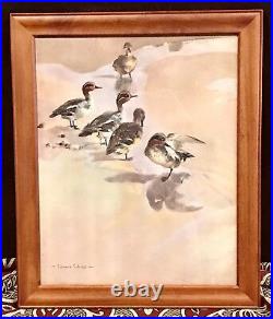 Vintage Antique Wildlife Vernon Ward English Listed Artist 1905-85 Print Framed