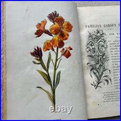 Vintage Botanical Art Book, Garden Flowers, Antique English Illustrated