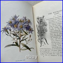 Vintage Botanical Art Book, Garden Flowers, Antique English Illustrated