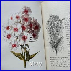 Vintage Botanical Art Book, Garden Flowers, Antique English Illustrated Vintage Botanical Art Book, Garden Flowers, Antique English Illustrated