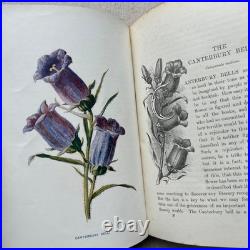 Vintage Botanical Art Book, Garden Flowers, Antique English Illustrated Vintage Botanical Art Book, Garden Flowers, Antique English Illustrated