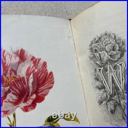 Vintage Botanical Art Book, Garden Flowers, Antique English Illustrated