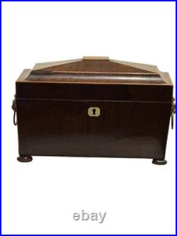 Vintage English Lion Head Handle Footed Wood Tea Caddy